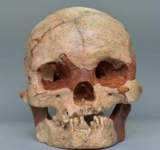 علماء آثار يكتشفون جمجمة عمرها مليونا عام لأسلاف البشر