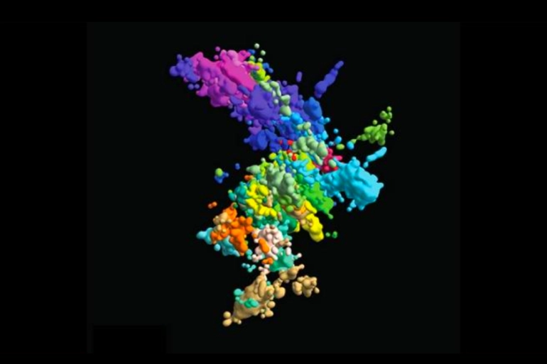 تصوير ثلاثي الأبعاد للكروموسومات في الخلايا البشرية