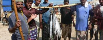 وزير الثروة السمكية:خطة للاستزراع السمكي في السدود والبرك