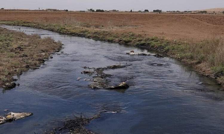 تلوث نهر الرميلة السوري بالنفط
