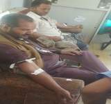 موظفو مجمع محافظة صنعاء ينفذون حملة تبرع بالدم