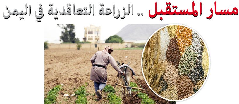 مسار المستقبل .. الزراعة التعاقدية في اليمن