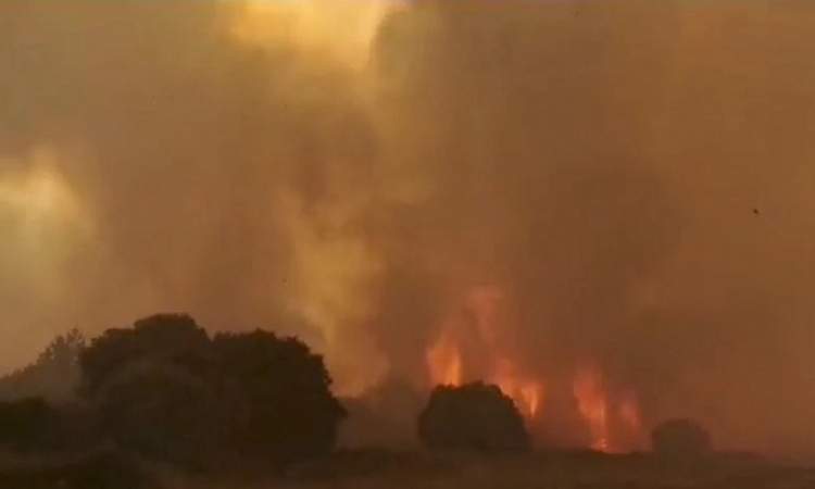 الاتحاد الأوروبي يرسل أربع طائرات إطفاء لإخماد حرائق الغابات في ايطاليا