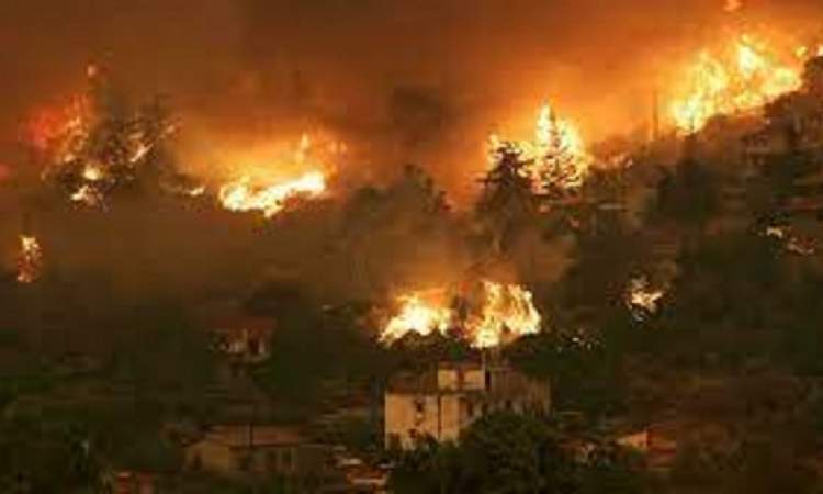  حريق جزيرة إيفيا اليونانية متواصل لليوم السابع