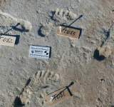 اكتشاف آثار أقدام عمرها 23 ألف سنة