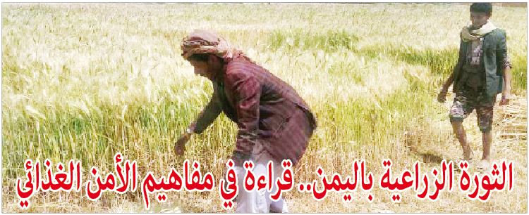 الثورة الزراعية باليمن.. قراءة في مفاهيم الأمن الغذائي