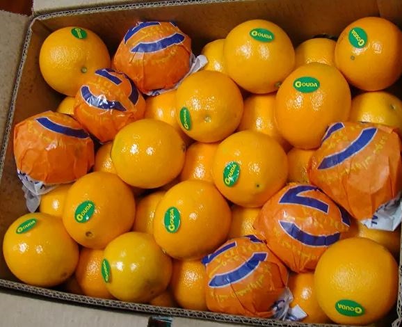 تعرف على فوائد البرتقال