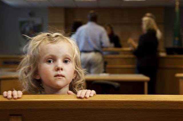 مجلس النواب يقر تعديل قانون مثير للجدل بشأن حضانة الطفل