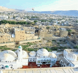 استعادة 1580 حبلة من أراضي الأوقاف في محافظة صعدة