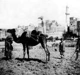صورة قديمة لبستان الأبهربصنعاء عام 1907 م