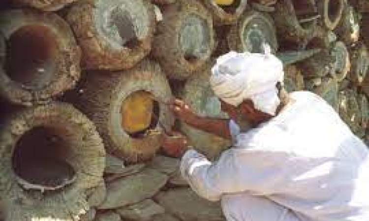 تصدير 840 طن من العسل اليمني سنوياً
