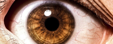 حالة العين تكشف أوضاع أعضاء الجسم الأخرى
