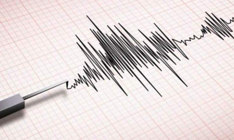زلزال قوي يضرب جنوب ايران