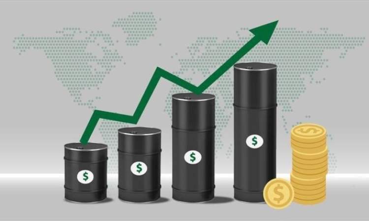أسعار النفط تعاود الارتفاع وبرنت يبلغ 117.25 دولارا
