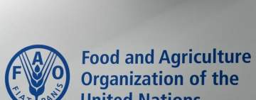 منظمة الفاو : الأسعار العالمية للسلع الغذائية تراجعت في شهر أبريل
