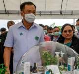 تايلاند توزع مليون نبتة قنب له تأثير مخدر مجانا على السكان