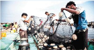 مرتكزات الاستراتيجية الوطنية للنهوض بالقطاع السمكي