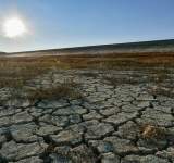 الأمم المتحدة تحذّر من موجة جفاف عالمية قد تؤثر على 3 أرباع سكان الأرض