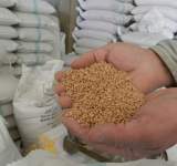 بوتين يكشف عن كمية الحبوب التي ستصدرها روسيا هذا العام إلى الأسواق العالمية