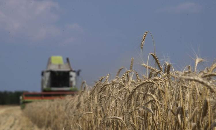 روسيا تتوقع تصدير 37 مليون طن من الحبوب هذا العام و50 مليونا العام المقبل
