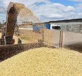 روسيا: المحادثات مع الأمم المتحدة بشأن الحبوب لا تزال مستمرة