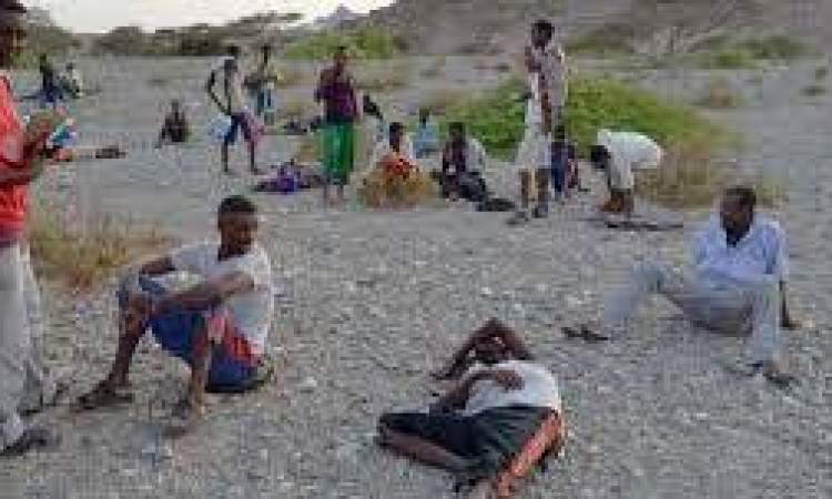 34437 مهاجرا أفريقيا دخلوا اليمن في 7 أشهر