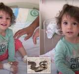  طفلة تركية تقتل أفعى سامة عضا بأسنانها  (صورة)
