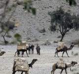الخارجية الروسية: الغرب يعيق وقف إنتاج المخدرات في أفغانستان