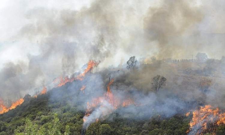 مصرع 36 شخصا واصابة العشرات بحرائق غابات الجزائر