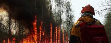 إخماد 52 حريقا في غابات روسيا خلال يوم
