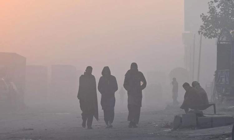  وفاة مليون جنين كل عام نتيجة تلوث الهواء 