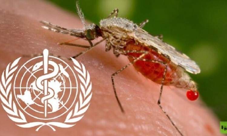 كوريا الجنوبية.. ارتفاع عدد الإصابات بالملاريا إلى 416