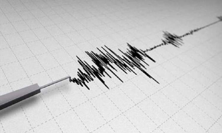 زلزال بقوة 3.8 ريختر يضرب الهند