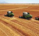 اللجنة الزراعية تدشن موسم حصاد القمح بمحافظة الجوف