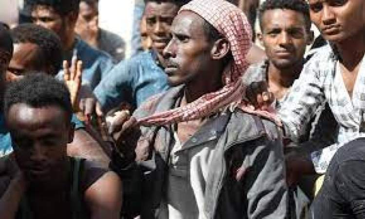 ترحيل 100 مهاجر غير شرعيين من صعدة  الى صنعاء