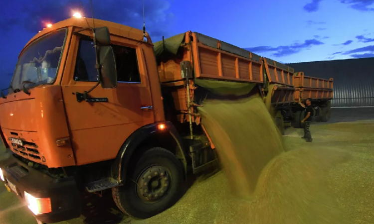 أوكرانيا تعلن تمديد "صفقة الحبوب" لمدة 120 يوما