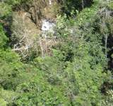 العثور على أربعة أطفال أحياء في الأمازون بعد أسبوعين على تحطم طائرتهم