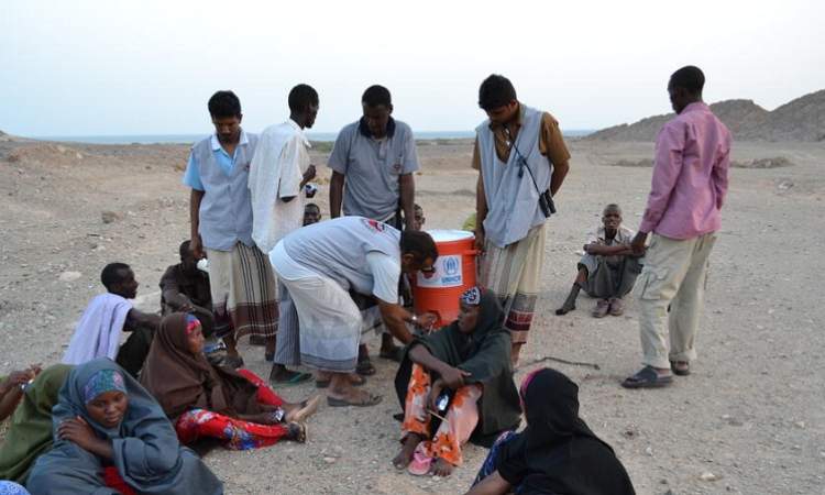 خلال عام واحد وصول اكثر من 250 الف مهاجر من القرن الافريقي الى اليمن 