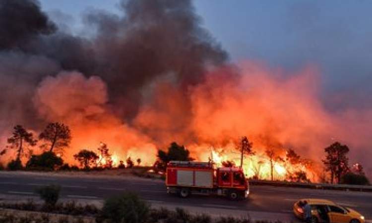 حرائق الغابات في الجزائر تودي بحياة 34 شخصا بينهم عسكريين