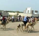 الحديدة:مهرجان تراثي وشعبي لمزارعي النخيل في منطقة الجاح