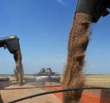أوكرانيا تباشر تصدير الحبوب عبر موانئ كرواتيا