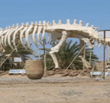 المغرب يستعيد آثارا تعود لـ “250 مليون سنة”