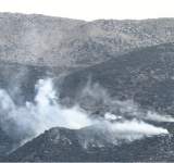 العدو الاسرائيلي احرق أكثر من 40 ألف شجرة زيتون معمرة جنوب لبنان