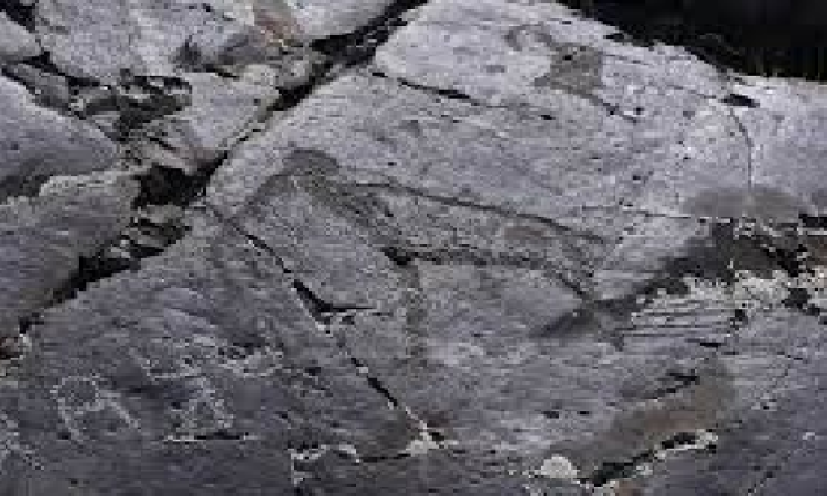 اكتشاف لوحات صخرية في جبال ألتاي