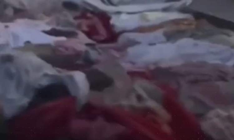 في غزة .. الكلاب المسعورة تنهش جثث الشهداء (فيديو)