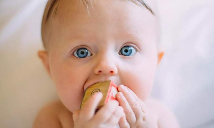 دراسة صادمة تكشف عن وجود مادة سامة في 40% من أطعمة الأطفال