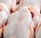 الحديدة: اتلاف 17 طنا دجاج مجمد غير صالح للاستخدام