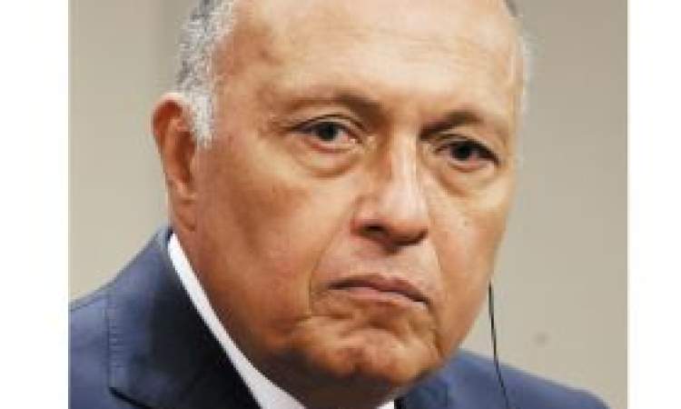 وزير الخارجية المصري: ما يشهده البحر الأحمر نتيجة مباشرة للممارسات الإسرائيلية في قطاع غزة