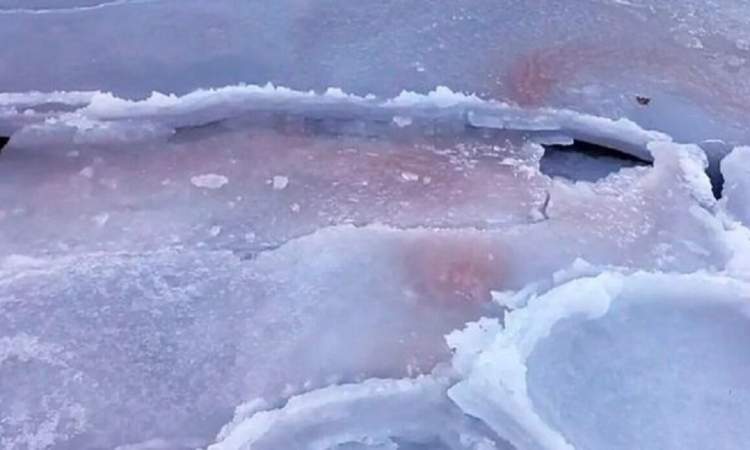 العلماء الروس يكشفون سبب ظاهرة "الثلج الدموي" في بريموريه
